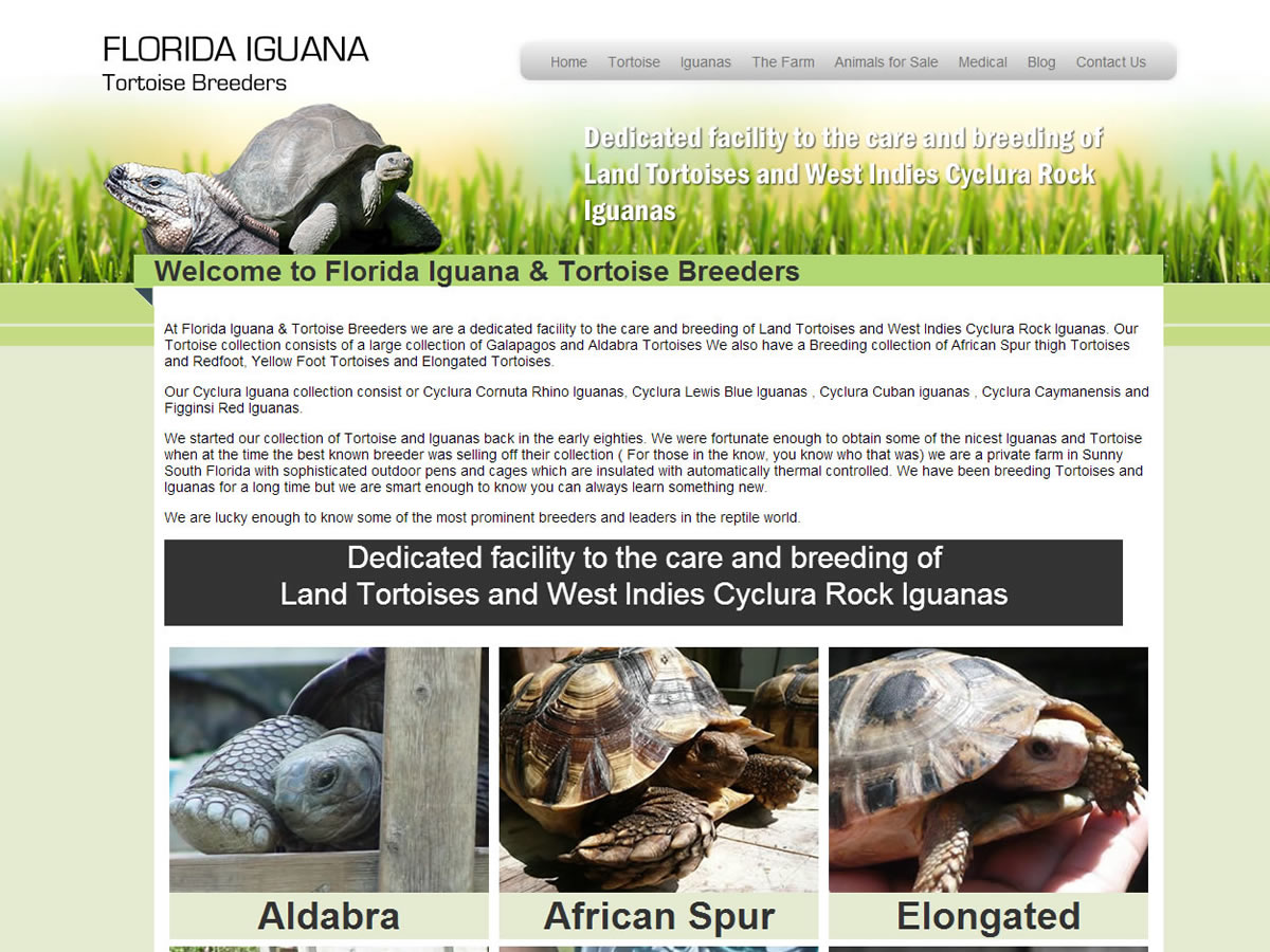 Florida Iguana and Tortoise Breeders
